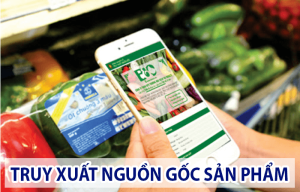 Cách đăng ký tem truy xuất nguồn gốc sản phẩm