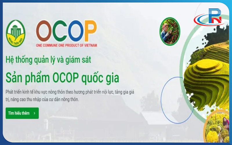 Thiết kế Và In ấn Tem Nhãn OCOP Chuẩn Quốc Gia – Bí Quyết Nâng Tầm Thương Hiệu 2025
