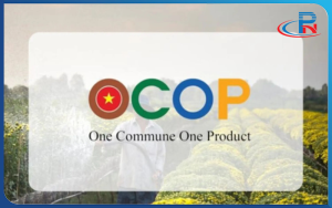 OCOP là gì? Tiêu chí đánh giá sản phẩm OCOP chuẩn mới nhất 1 OCOP là gì? Và tiêu chí đánh giá sản phẩm OCOP