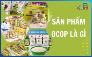 sản phẩm ocop