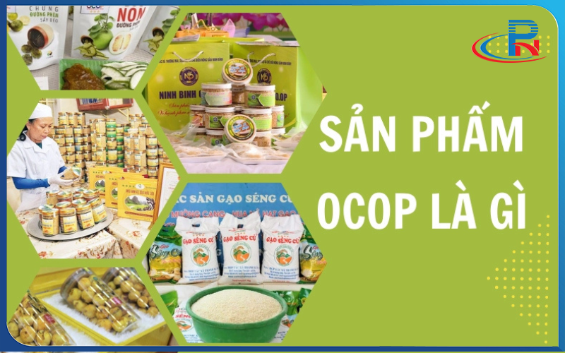 Sản phẩm OCOP là gì? Danh mục 6 nhóm sản phẩm OCOP theo chuẩn quốc gia 1 sản phẩm ocop